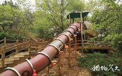 北京西山國家森林公園旅遊攻略之登山步道