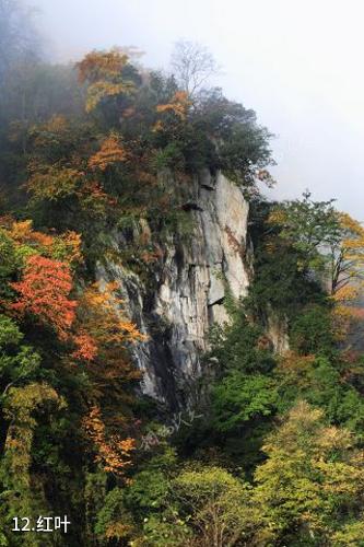 雅安东拉山大峡谷风景区-红叶照片