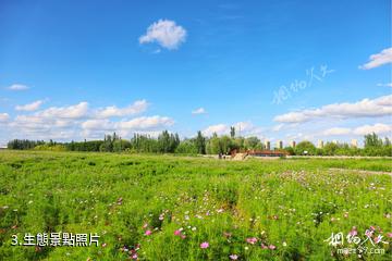 麥蓋提葉爾羌河生態文化園-生態照片