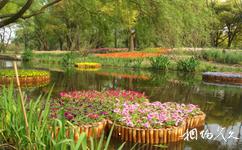上海共青森林公园旅游攻略之花圃