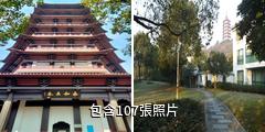 紹興永和塔驢友相冊