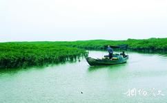 福建漳江口红树林国家级自然保护区旅游攻略之游船