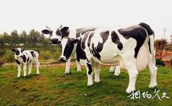 枣庄祥和庄园旅游攻略之奶牛养殖基地