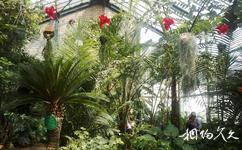 西安植物園旅遊攻略之熱帶亞熱帶植物溫室