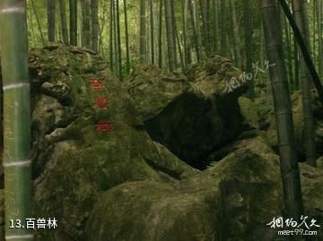 赤壁玄素洞-百兽林照片