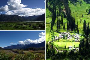 西藏林芝林芝旅遊攻略-巴宜區景點排行榜