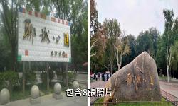 山東聊城公園驢友相冊