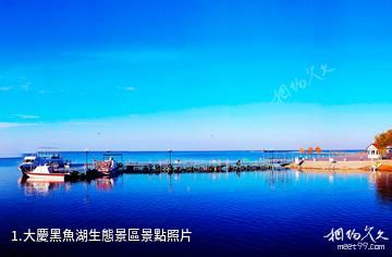 大慶黑魚湖生態景區照片