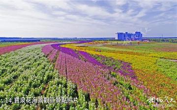 鶴崗寶泉嶺現代農業生態園-寶泉花海景觀區照片