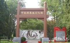 北京地坛公园旅游攻略之中医药养生文化园