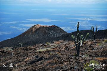 厄瓜多尔加拉帕戈斯群岛-火山口照片