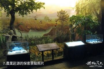 杭州跨湖橋遺址博物館-農業起源的探索照片