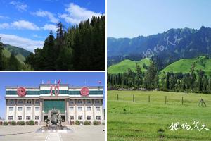 新疆阿克蘇伊犁哈薩克新源旅遊景點大全