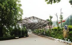 遂宁东方生态博览园旅游攻略之文化休闲长廊