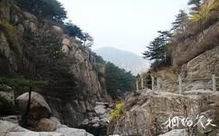 泰安徂徠山國家森林公園旅遊攻略之紫霞棧道