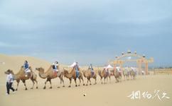 内蒙古库布其沙漠旅游攻略之骑骆驼观光大漠