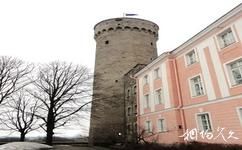 爱沙尼亚塔林老城旅游攻略之赫曼塔