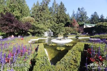 加拿大布查特花園-星池照片