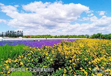 張家口假日綠島景區-「鄉村花海」文化園照片