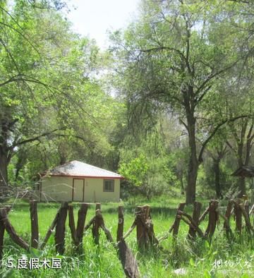 博州青歌礼民族度假村-度假木屋照片