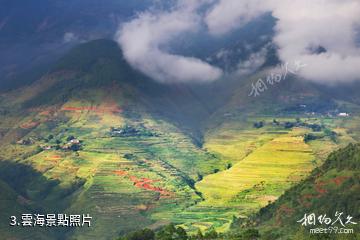 米易傈僳梯田-雲海照片