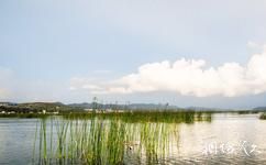 威宁草海国家级自然保护区旅游攻略之湿地