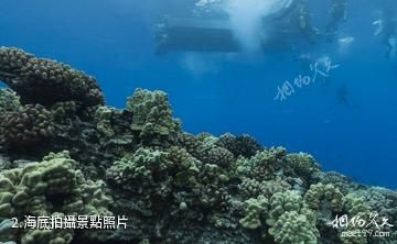 夏威夷莫洛凱島海底1-海底拍攝照片