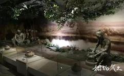上海金山区博物馆旅游攻略之古陶