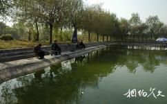 郑州金鹭鸵鸟游乐园旅游攻略之垂钓中心