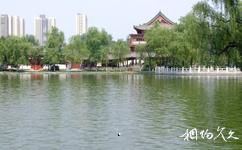 西安興慶宮公園旅遊攻略之興慶湖