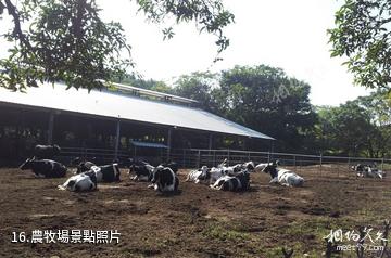 台灣台中東海大學-農牧場照片
