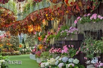 新加坡滨海湾花园-奇幻花园照片