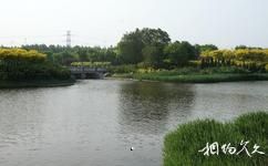 天津临港生态湿地公园旅游攻略之湖