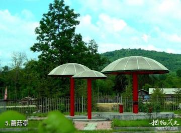 清水湖生态度假村-蘑菇亭照片