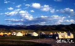 新疆巴音布魯克天鵝湖旅遊攻略之蒙古包