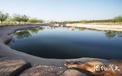 遼寧朝陽鳥化石國家地質公園旅遊攻略之魚類樂園
