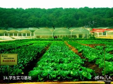 华中农业大学-学生实习基地照片