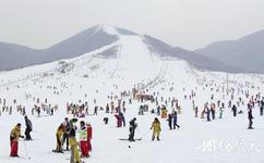 三門峽甘山國家森林公園旅遊攻略之滑雪場