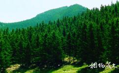 内蒙古贺兰山国家级自然保护区旅游攻略之贺兰山