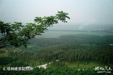 伊通大孤山旅遊風景區-塔林峰照片