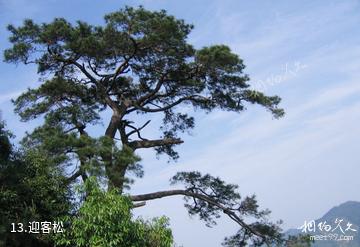 高安华林寨上游湖风景区-迎客松照片