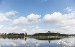 疏勒香妃湖花卉庄园旅游攻略之生态湿地