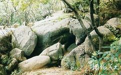 紫蓬山國家森林公園旅遊攻略之仙人洞