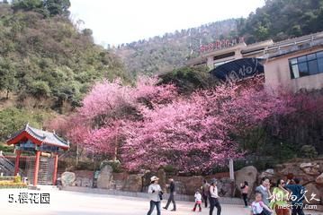 郴州王仙岭旅游区-樱花园照片