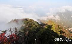 河南小秦岭国家级自然保护区旅游攻略
