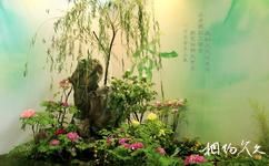 第八届中国花博会[常州]旅游攻略之牡丹分会