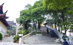 南京古雞鳴寺旅遊攻略之石階