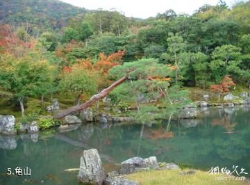 日本天龙寺-龟山照片