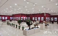 清远广东瑶族博物馆旅游攻略之临时展厅