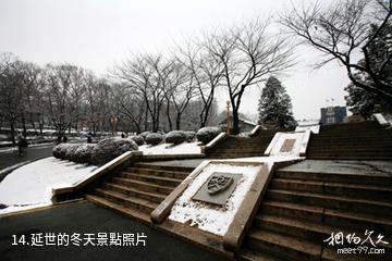 韓國延世大學-延世的冬天照片